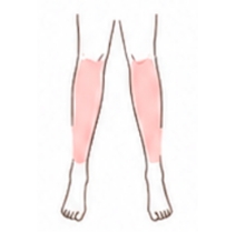 すね